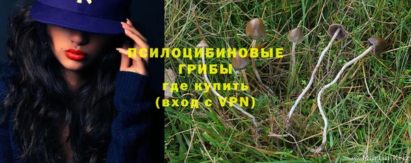 первитин Киреевск