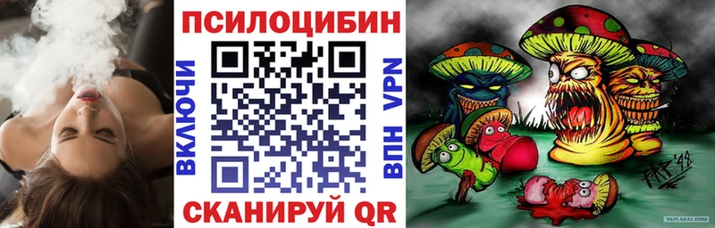 Купить где  Карачев  Галлюциногенные грибы Psilocybe 