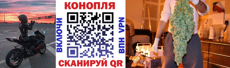 Купить закладки  Карачев  Каннабис White Widow 